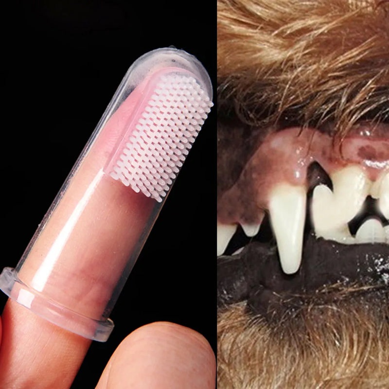 Dog Dental Hygiene Toothbrush