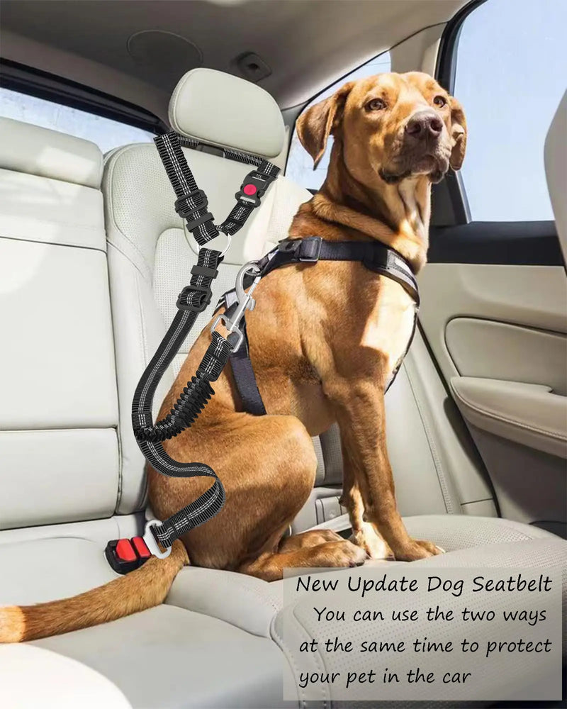 Adjustable and Durable Dog Seat Belt