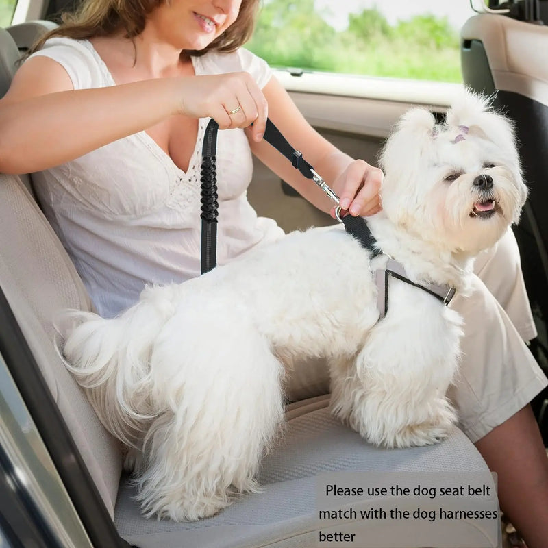 Adjustable and Durable Dog Seat Belt